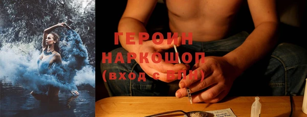 сатива Беломорск