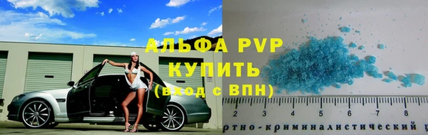 сатива Беломорск