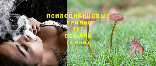 гашиш Богородицк