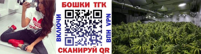 Конопля сатива  Бутурлиновка 